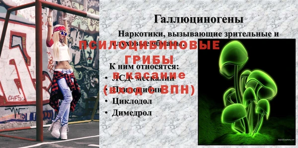 дживик Алзамай