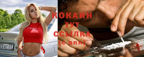 дживик Алзамай